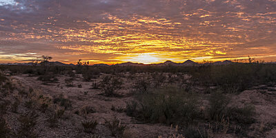 Arizona Sunset