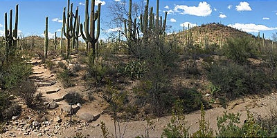 Arizona Valley Overlook